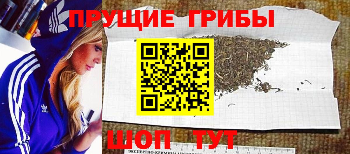 Галлюциногенные грибы Magic Shrooms  Вход с VPN  Новочеркасск 