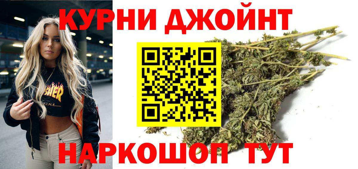 Бошки Шишки планчик Новочеркасск
